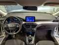 Ford Focus 1.5 ecoblue Business s&s Argento - thumbnail 11