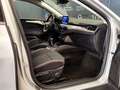 Ford Focus 1.5 ecoblue Business s&s Argento - thumbnail 12