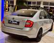 Skoda Rapid/Spaceback Ambition/Sitzh/Telef/Parkp/USB/NSW/5trg./59TKM Argent - thumbnail 9