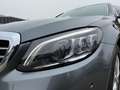 Mercedes-Benz C 220 d T PANO KAMERA MULTIBEAM EXCLUSIVE Exter. Grau - thumbnail 3