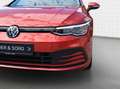 Volkswagen Golf Variant Life 1.0 TSI LED*ACC*AHK*Digital Rot - thumbnail 12