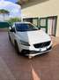 Volvo V40 Cross Country 2.0 d2 Business Plus my19 White - thumbnail 1