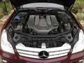 Mercedes-Benz CLS 55 AMG Kompressor Kırmızı - thumbnail 15