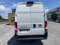 Fiat Ducato 35 L4H3 140 Multijet Maxi Superhochdach verblecht Weiß - thumbnail 6