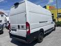 Fiat Ducato 35 L4H3 140 Multijet Maxi Superhochdach verblecht Weiß - thumbnail 5