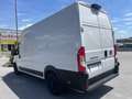Fiat Ducato 35 L4H3 140 Multijet Maxi Superhochdach verblecht Weiß - thumbnail 7