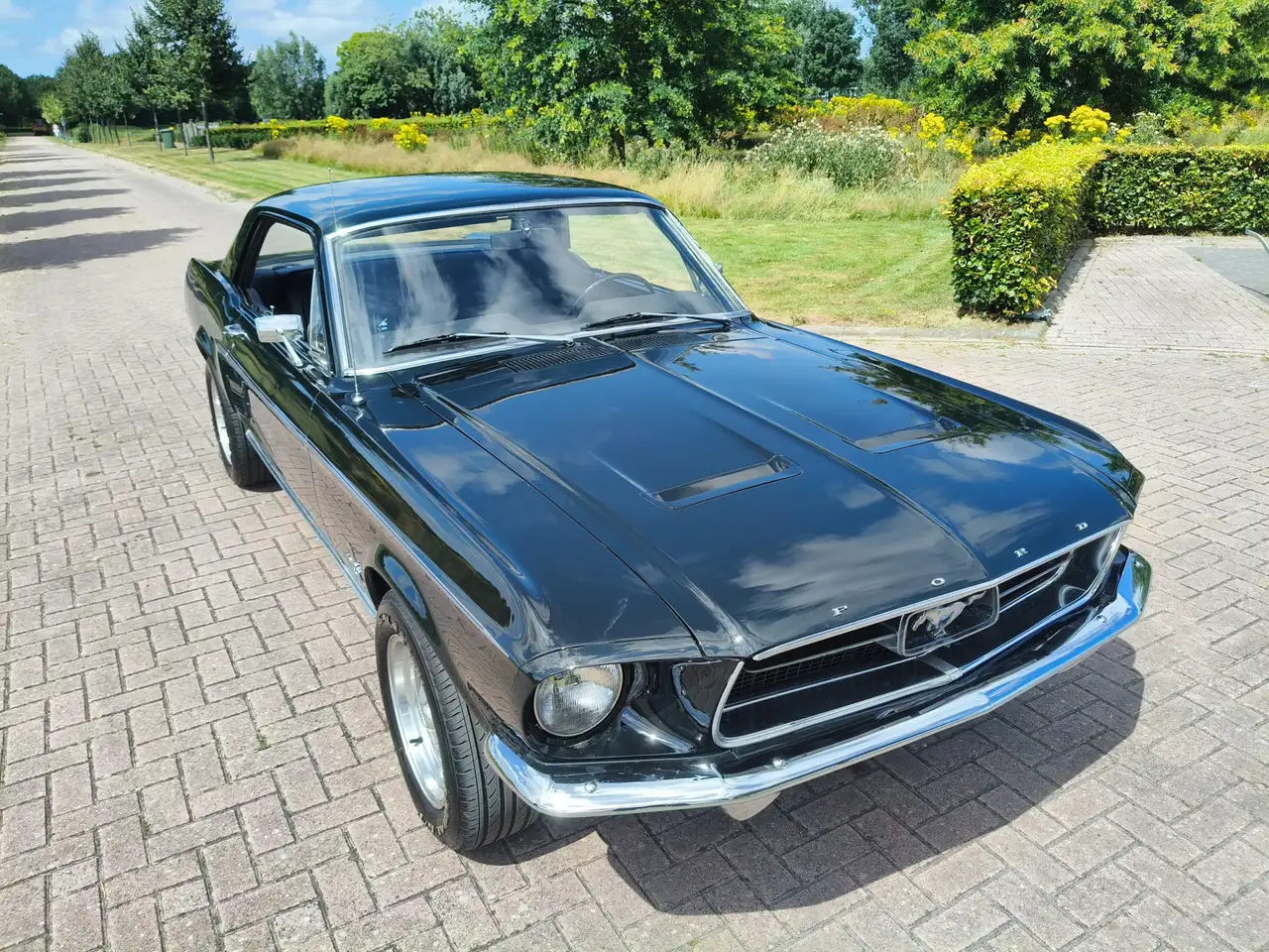 Ford Mustang HARDTOP 289 V8 COUPE C CODE! NL KENTEKEN, foto 7