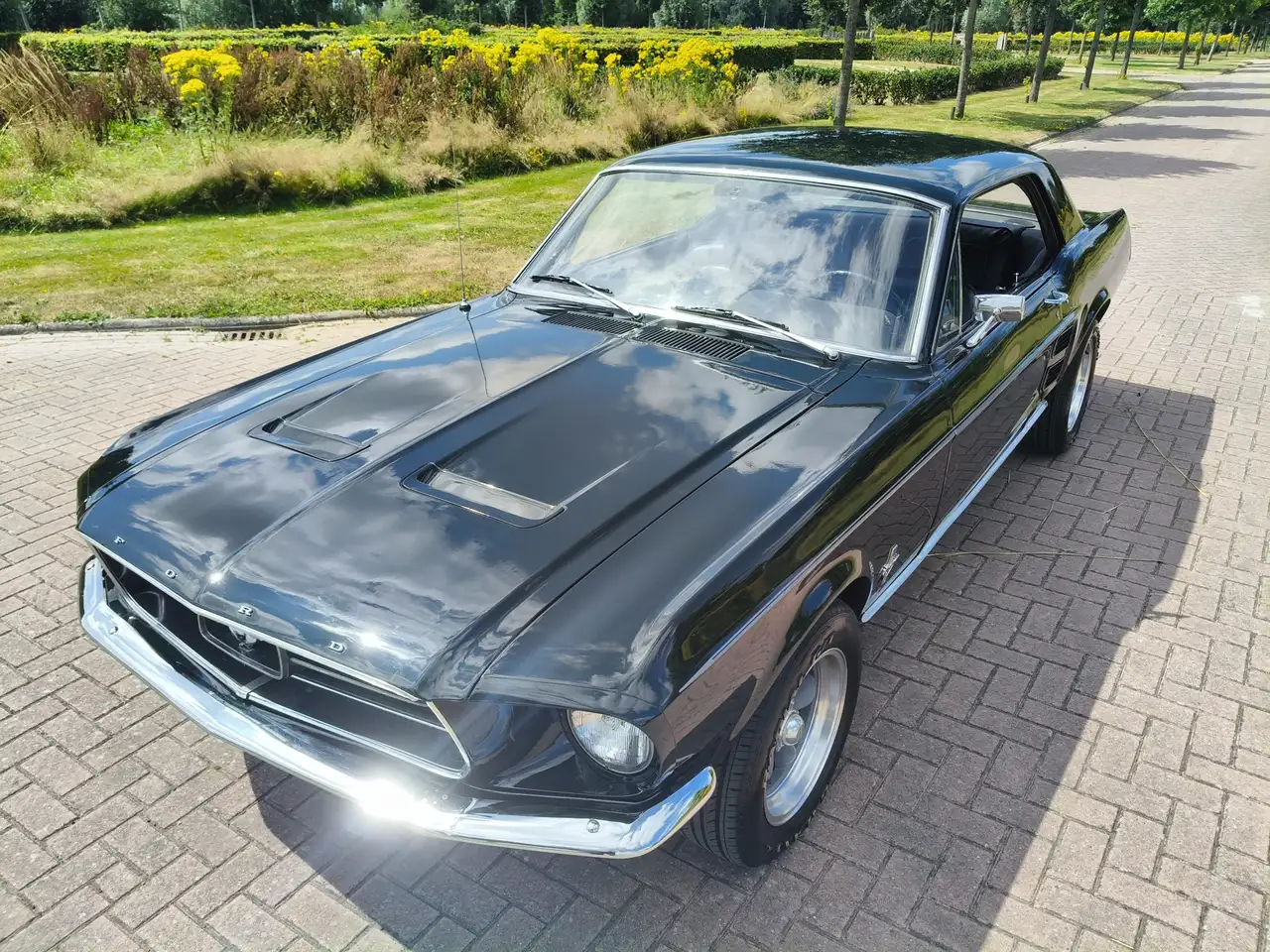 Ford Mustang HARDTOP 289 V8 COUPE C CODE! NL KENTEKEN, foto 8