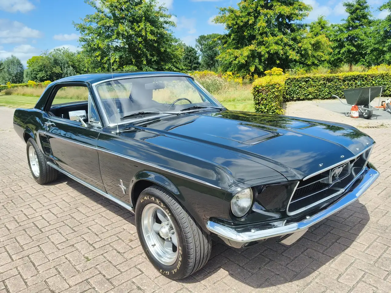 Ford Mustang HARDTOP 289 V8 COUPE C CODE! NL KENTEKEN, foto 3