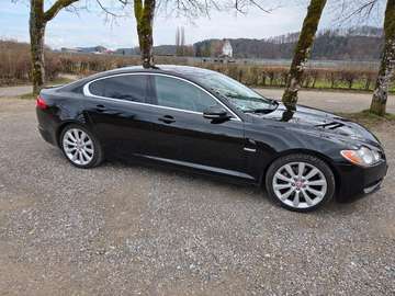 XF 5.0 V8 Premium Luxury