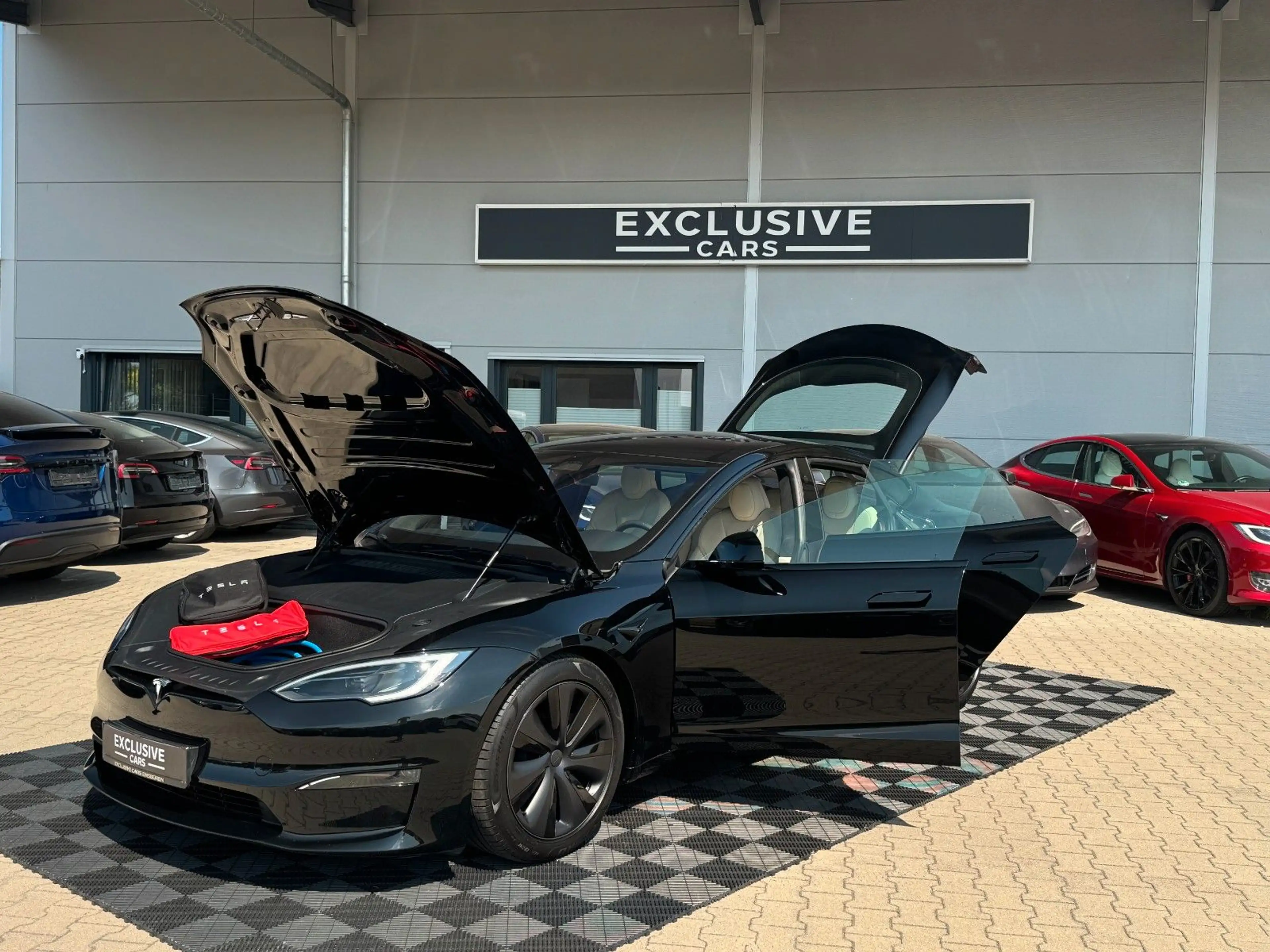 Tesla Model S MODEL S PALLADIUM | MATRIX | CREAM | — photo 2