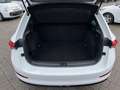 Skoda Scala 1.0 TSI Monte Carlo PANO KAMERA SHZ LED-S. Weiß - thumbnail 12