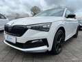 Skoda Scala 1.0 TSI Monte Carlo PANO KAMERA SHZ LED-S. Weiß - thumbnail 9