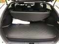 Toyota Prius Plug-in Hybrid "Comfort" inkl. Navi und Matrix-LED Weiß - thumbnail 11