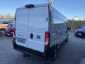 Fiat Ducato 35+ L3H2 BlueHDi 180 S&S Weiß - thumbnail 5