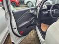 Ford Puma 1.0 EcoBoost Hybrid TITANIUM Groen - thumbnail 10