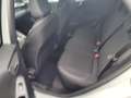 Ford Puma 1.0 EcoBoost Hybrid TITANIUM Groen - thumbnail 16