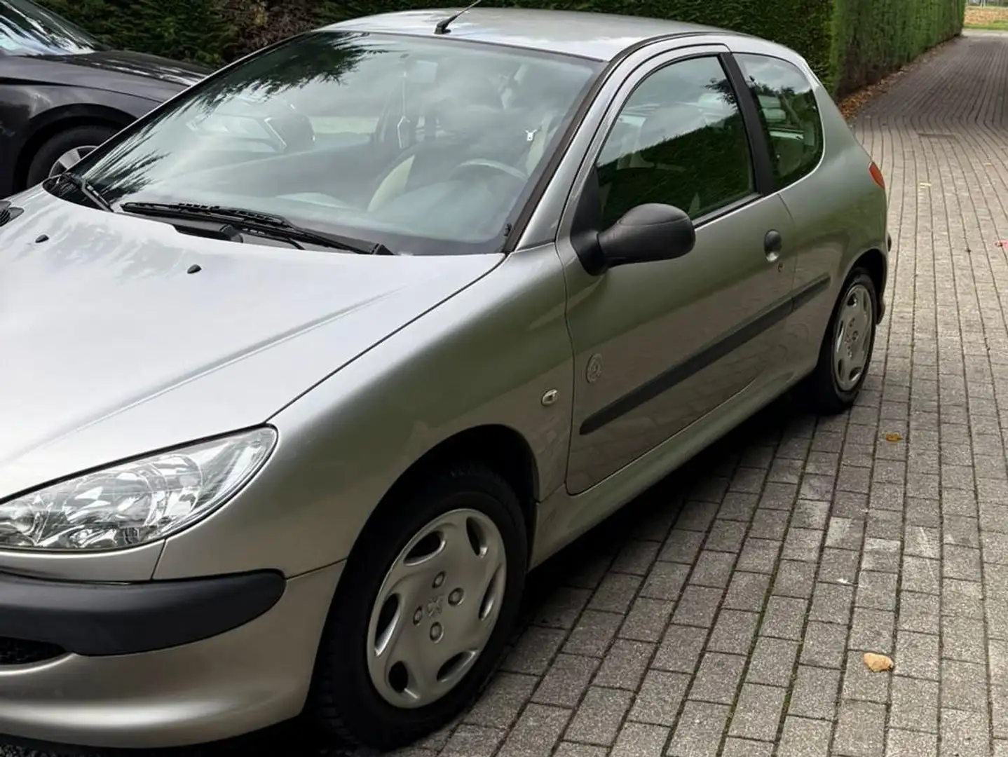 Peugeot 206 1.1i X-Design Grijs - 2