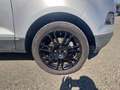 Ford EcoSport 1.5 TDCi 95 CV Titanium S Grigio - thumbnail 15