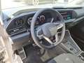 Volkswagen Caddy GOAL TDI DSG *Pano*AGR*Navi*LED*Stand* Grau - thumbnail 14