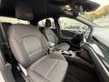 Ford Focus Focus 1.5 EcoBlue Start-Stopp-System Aut. ST-LINE Argent - thumbnail 4