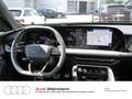 Audi Q5 2.0 TDI quattro S tronic Navi PDC uvm Grau - thumbnail 19