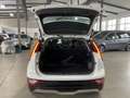 Kia Vision/64 kw/h/Navi/Bi-Led/ACC/RFK/ Weiß - thumbnail 20