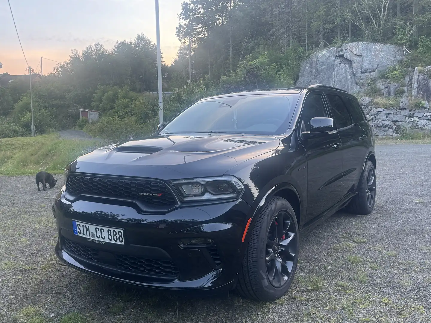 Dodge Durango 5,7 R/T LPG Premium AWD Schiebedach Scheibentönun - 1