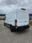 Ford Transit Transit Kasten 2,0 EcoBlue L3H2 350 Trend Weiß - thumbnail 4