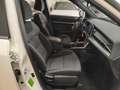 SsangYong Other TORRES 2025 TURBO BENZINA DA 160 CV Blanco - thumbnail 11