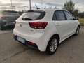 Kia Rio Rio IV 2021 1.2 dpi Style s/Comfort Pack Gpl 82cv Blanc - thumbnail 5