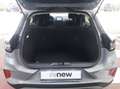 Ford Puma Puma 1.0 ecoboost h Titanium s Grigio - thumbnail 10