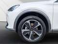 CUPRA Formentor 1.5 *Voll-LED*KESSY*Frontkamera* Weiß - thumbnail 11