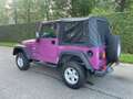 Jeep Wrangler Softtop Cabrio Twister Uitvoering 90s Classic Paars - thumbnail 9