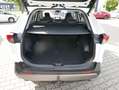 Toyota RAV 4 Hybrid 4x4 Lounge AWD*360Grad* Weiß - thumbnail 15