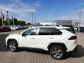 Toyota RAV 4 Hybrid 4x4 Lounge AWD*360Grad* Weiß - thumbnail 5