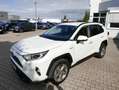 Toyota RAV 4 Hybrid 4x4 Lounge AWD*360Grad* Weiß - thumbnail 4