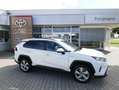 Toyota RAV 4 Hybrid 4x4 Lounge AWD*360Grad* Weiß - thumbnail 1
