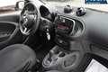 smart forFour 1.0  Passion - thumbnail 7
