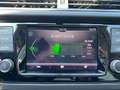 Skoda Fabia Combi TSI Ambition+SONDERLACK+GARANTIE04/27 Vert - thumbnail 23