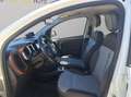 Fiat Panda Panda III 2012 4x4 1.3 mjt 16v Cross 4x4 s Bianco - thumbnail 9