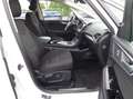 Ford S-Max Titanium AWD Titanium+Turbolader-Schaden Blanc - thumbnail 25
