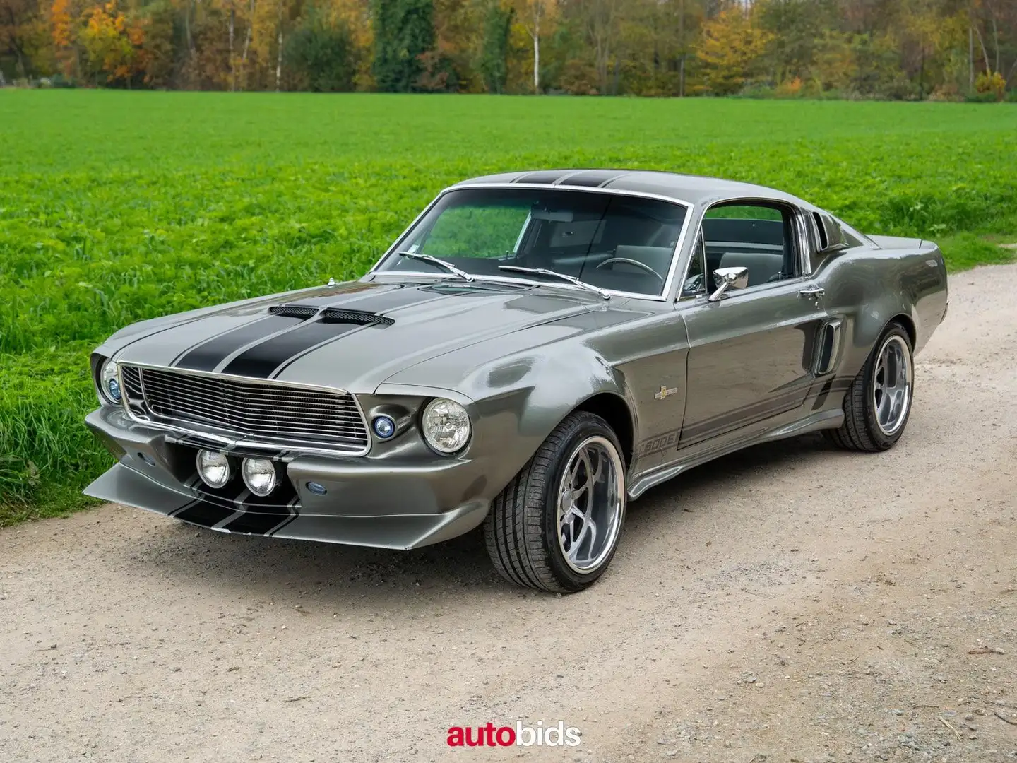 Ford Mustang Shelby GT500 Eleanor Hommage Gris - 1