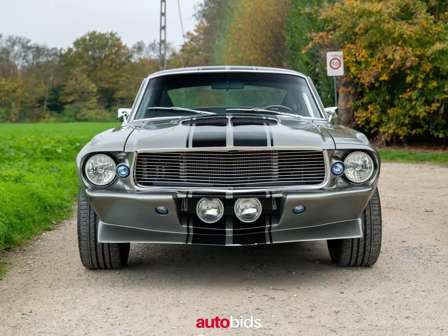 Ford Mustang Shelby GT500 Eleanor Hommage Gris - 2