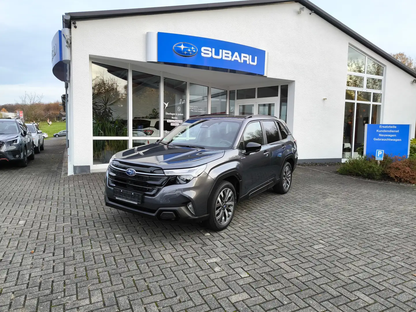 Subaru Forester Forester Hybrid 2.0ie Lineartronic Platinum Grau - 2