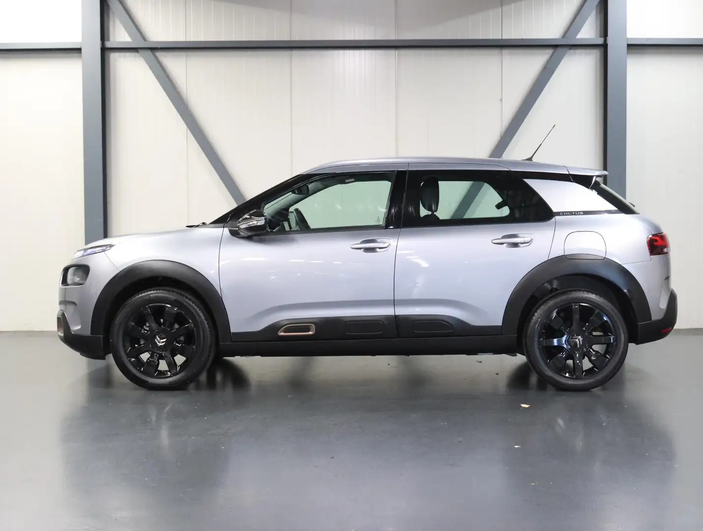 Citroen C4 Cactus 1.2 110PK Origins | AppleCarPlay/AndroidAuto | Cru Grijs - 2