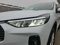 Ford Kuga 183PS Benzin/Hybrid  2,5 Duratec FHEV Titanium ... Blanc - thumbnail 6