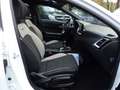 Kia Ceed / cee'd 1.0 T-GDI 120CH GT LINE 118G Blanc - thumbnail 12
