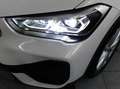 BMW X1 1.5d 116 CV SDRIVE16d BUSINESS ADVANTAGE Wit - thumbnail 14