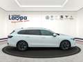 Volkswagen Passat Variant Elegance 2.0 TDI DSG AHK,ACC,NAV,DAB+,Matrix-LED Weiß - thumbnail 6
